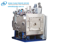 GZLYZ 1-3 medical type freeze dryer